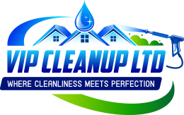 Vip CleanUp Ltd